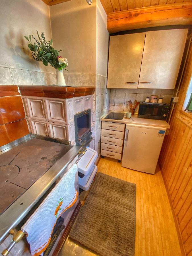 Chalet Kosutnik Velika Planina Камнишка Бистриця Екстер'єр фото
