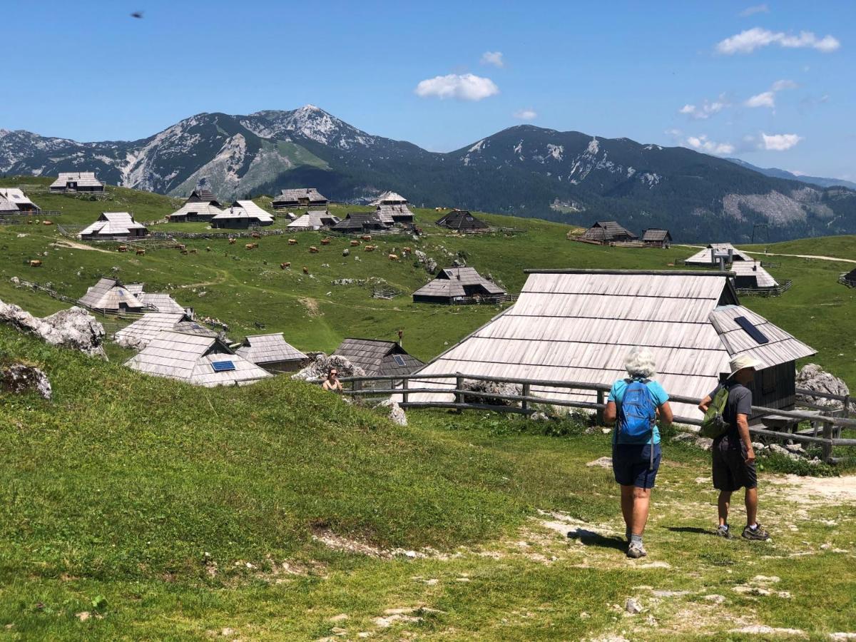 Chalet Kosutnik Velika Planina Камнишка Бистриця Екстер'єр фото