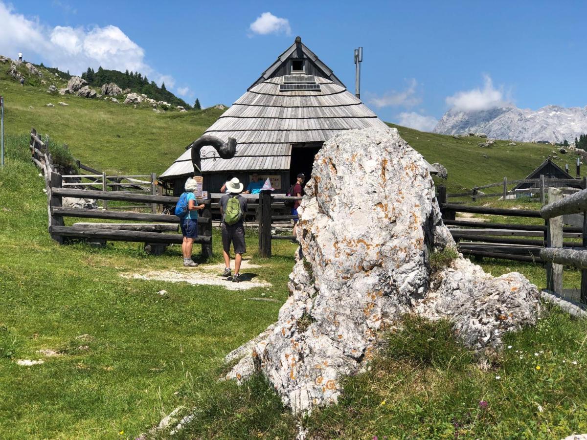Chalet Kosutnik Velika Planina Камнишка Бистриця Екстер'єр фото