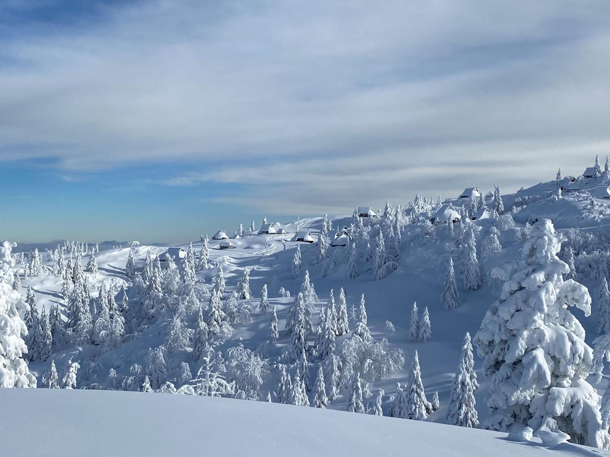 Chalet Kosutnik Velika Planina Камнишка Бистриця Екстер'єр фото