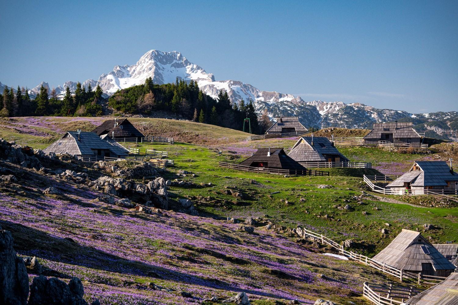 Chalet Kosutnik Velika Planina Камнишка Бистриця Екстер'єр фото