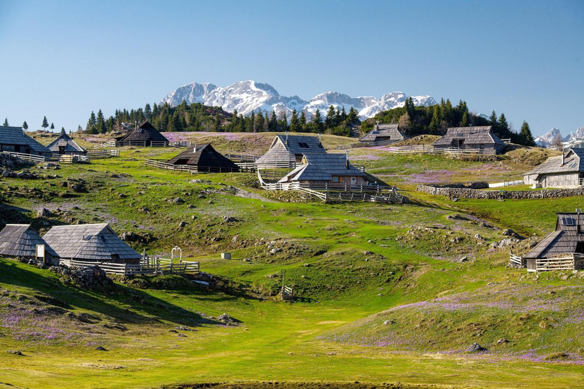Chalet Kosutnik Velika Planina Камнишка Бистриця Екстер'єр фото