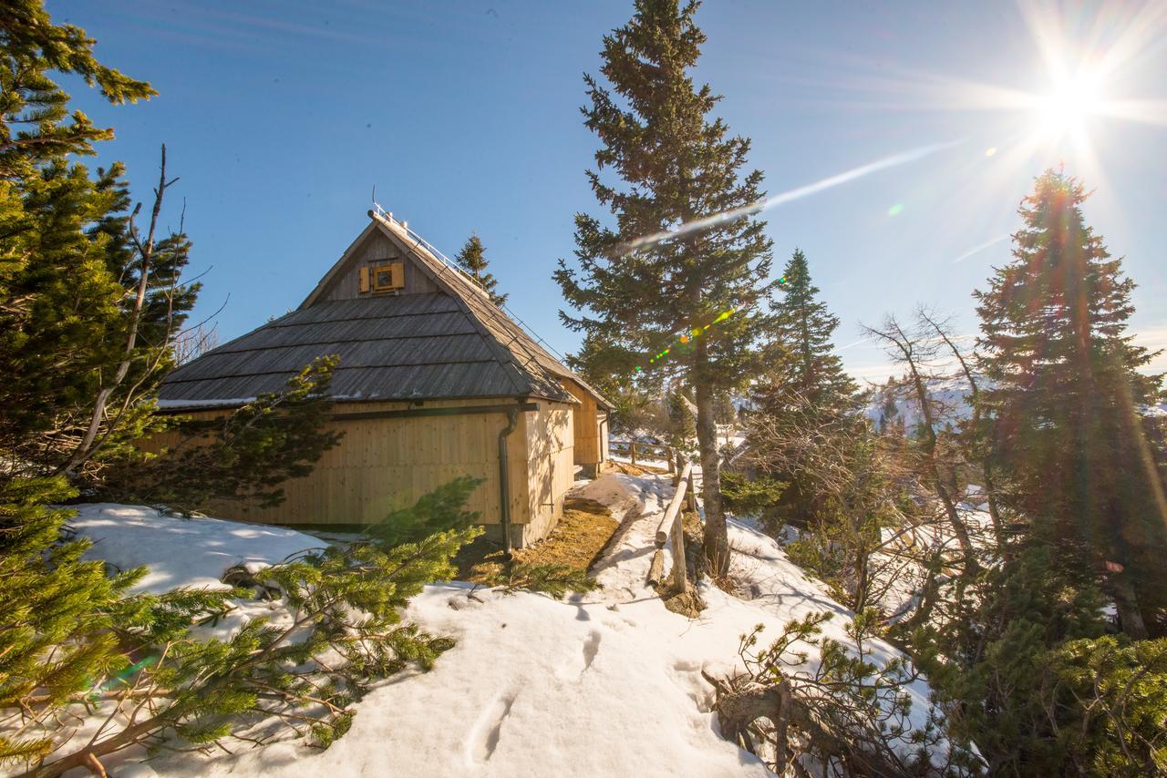 Chalet Kosutnik Velika Planina Камнишка Бистриця Екстер'єр фото