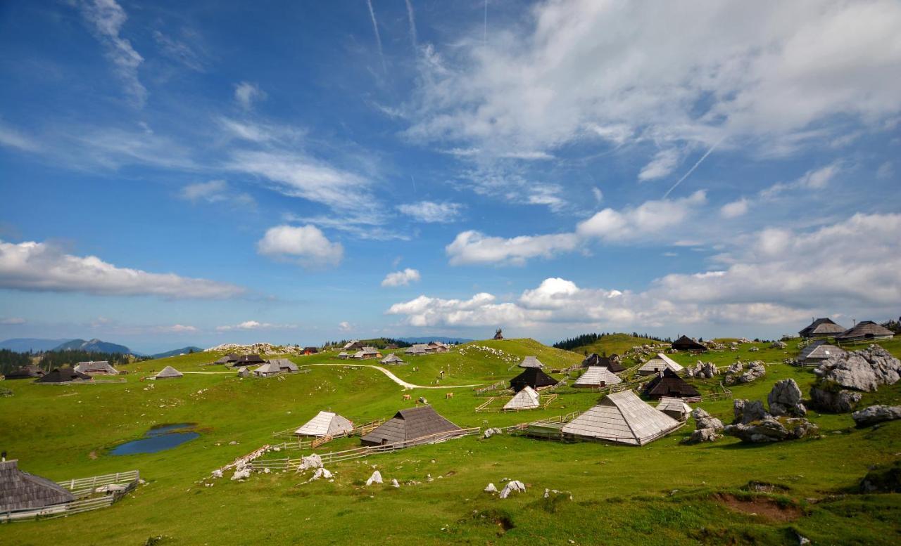 Chalet Kosutnik Velika Planina Камнишка Бистриця Екстер'єр фото