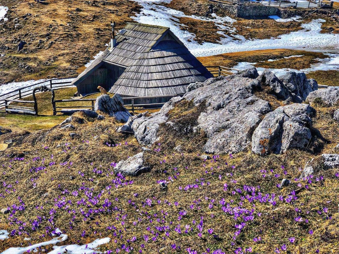 Chalet Kosutnik Velika Planina Камнишка Бистриця Екстер'єр фото