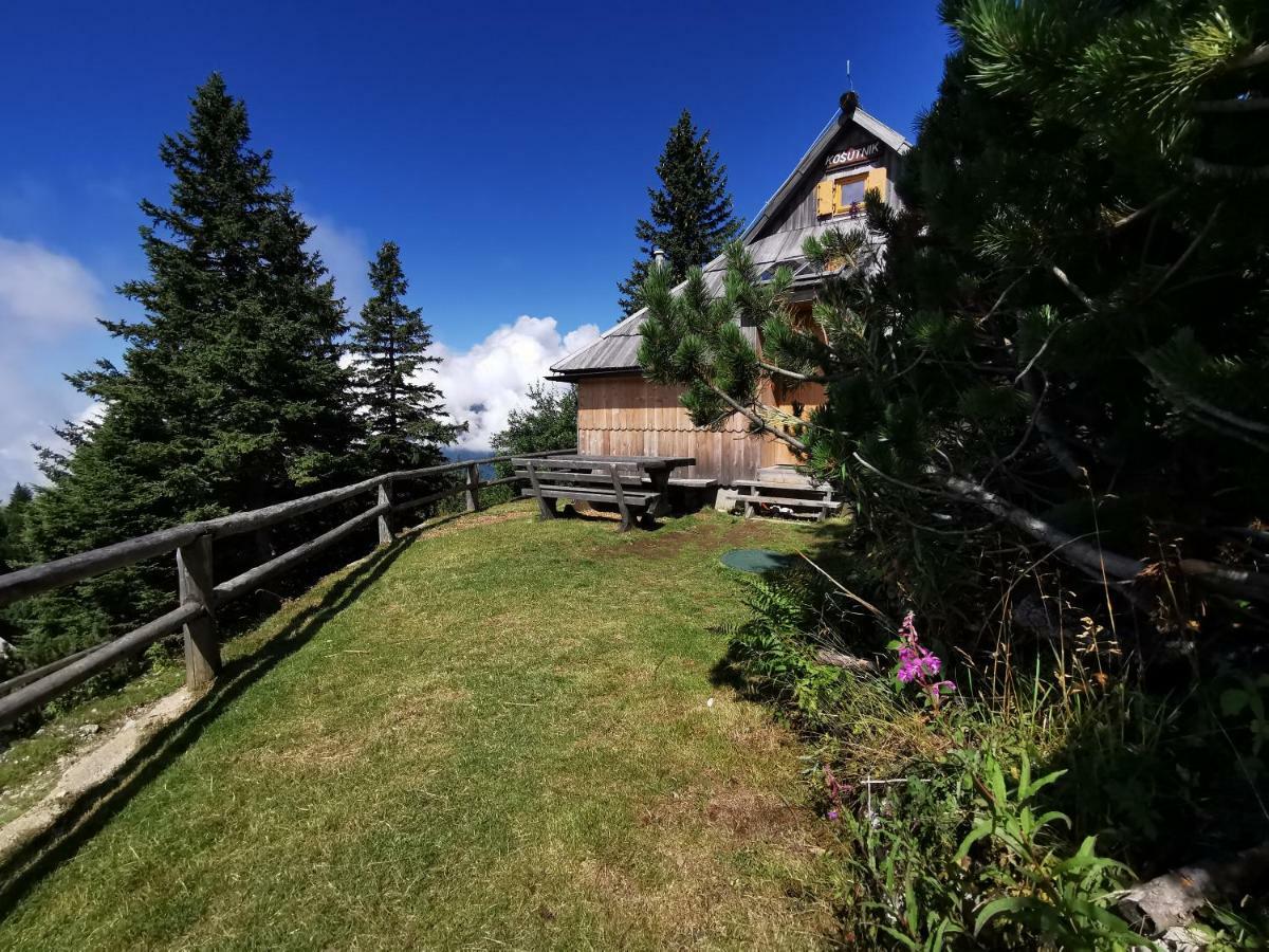 Chalet Kosutnik Velika Planina Камнишка Бистриця Екстер'єр фото