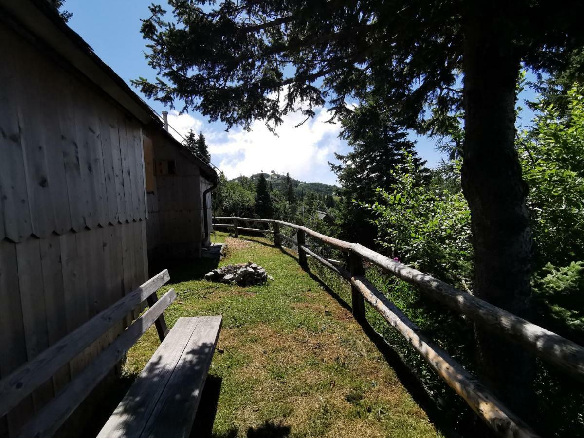 Chalet Kosutnik Velika Planina Камнишка Бистриця Екстер'єр фото