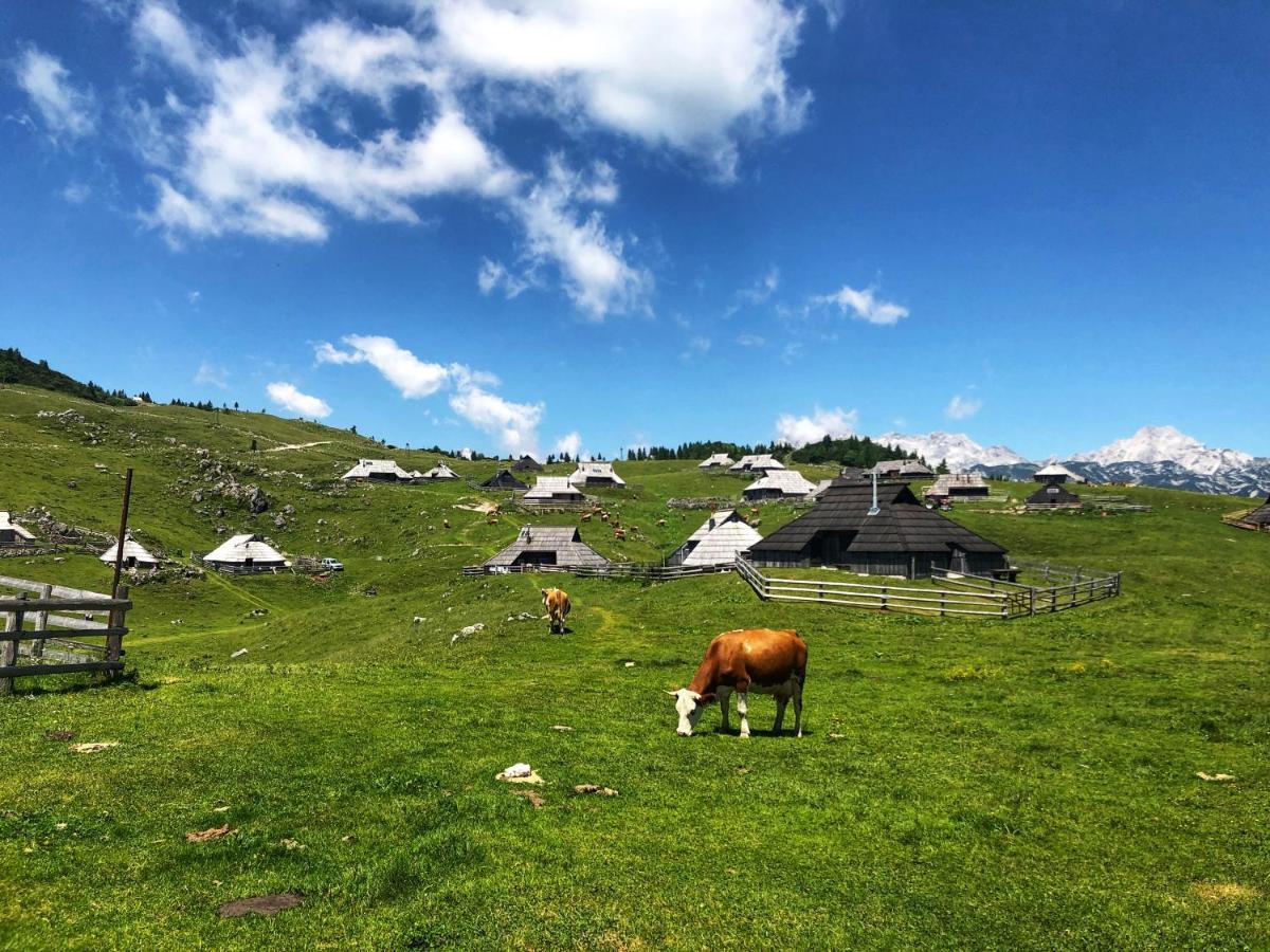 Chalet Kosutnik Velika Planina Камнишка Бистриця Екстер'єр фото